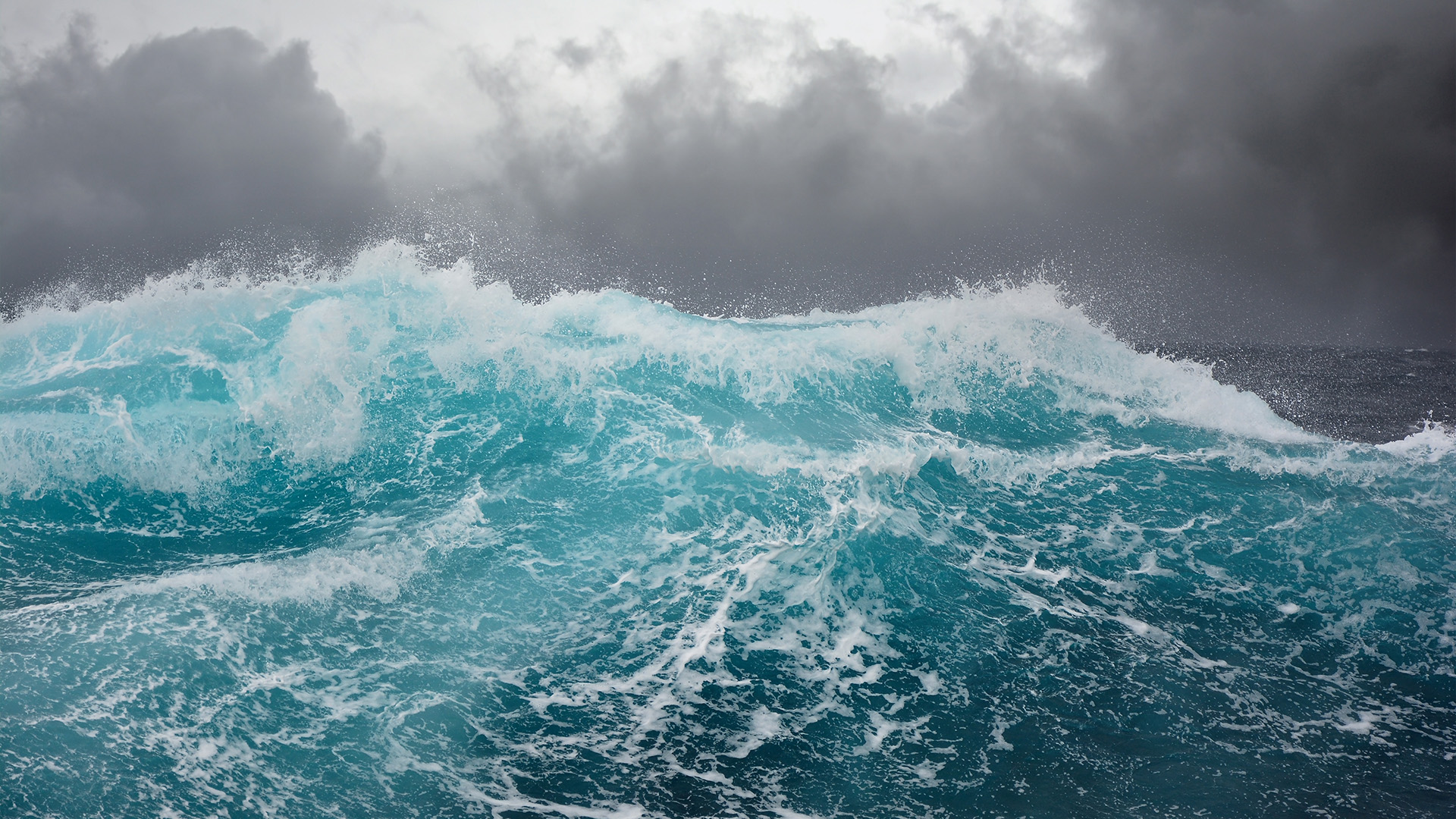 Green Volt: Proud to sponsor Floating Offshore Wind 2025